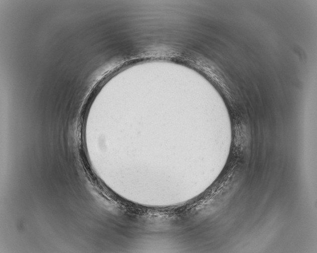X0000110700632200907241125