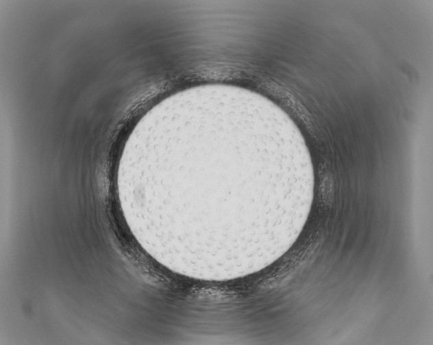 X0000110700635200907241125