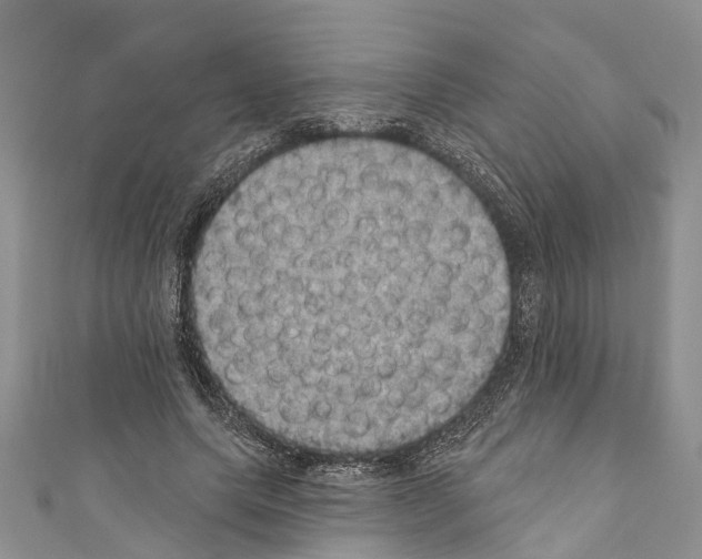 X0000110700639200907241125