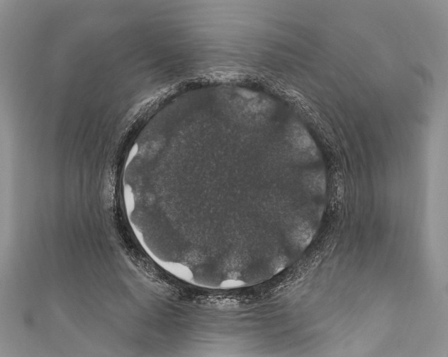 X0000110700640200907241125