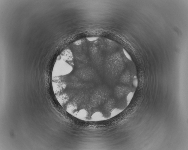 X0000110700641200907241125
