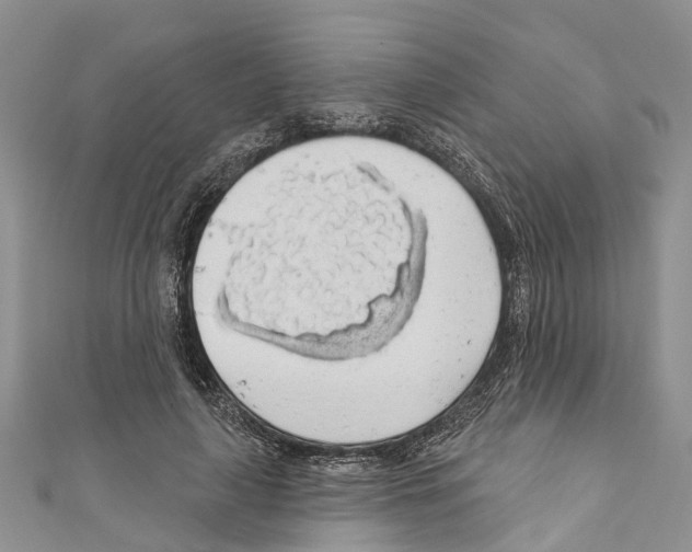 X0000110700643200907241125