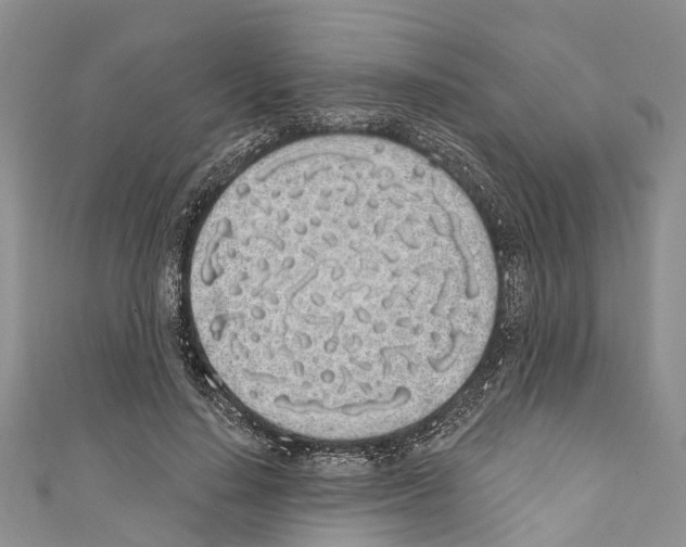 X0000110700644200907241125