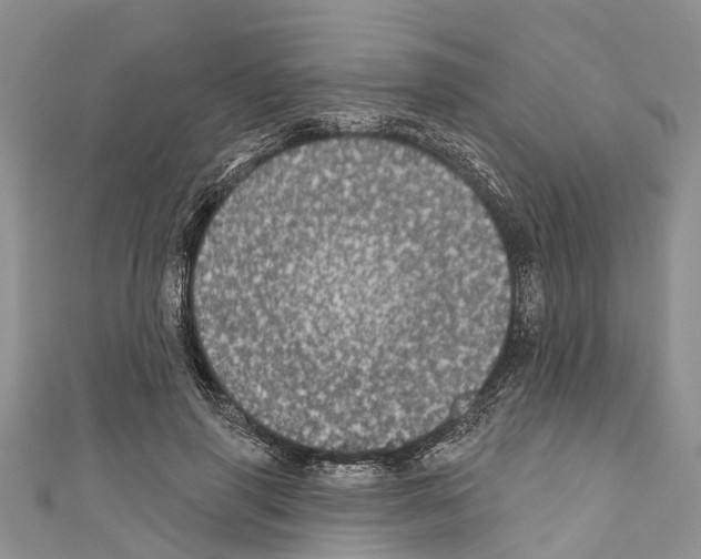 X0000110700645200907241126
