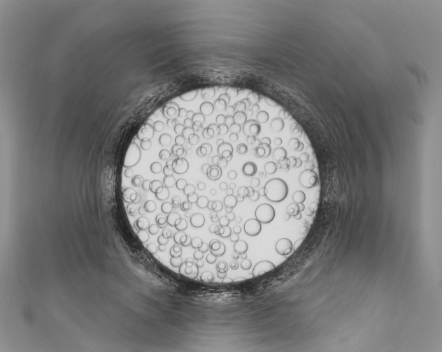 X0000110700646200907241126