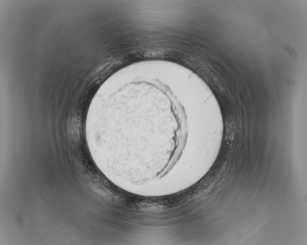 X0000110700648200907241126