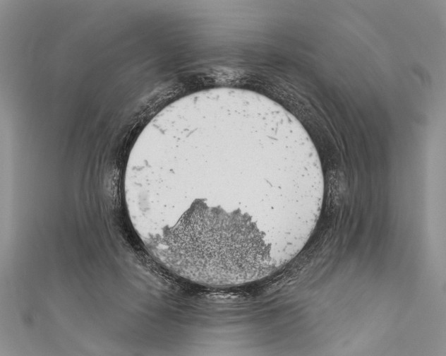 X0000110700650200907241126