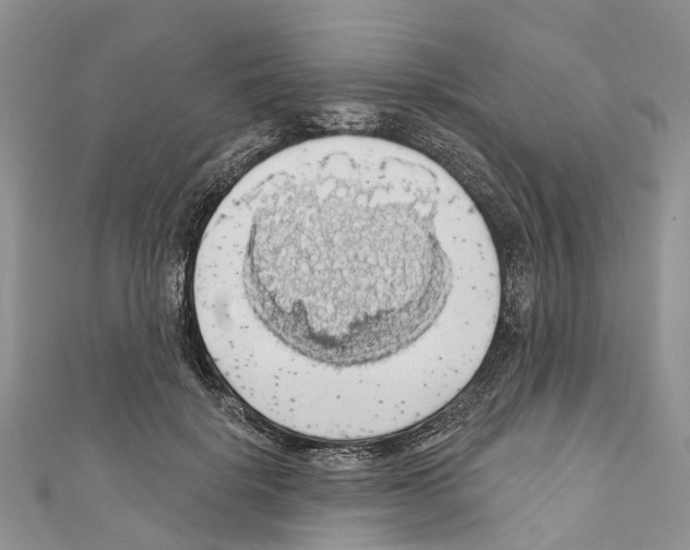 X0000110700652200907241126