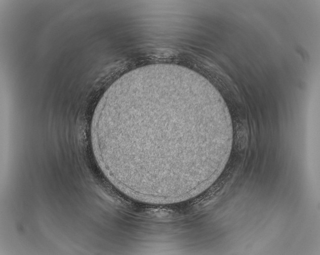 X0000110700654200907241126