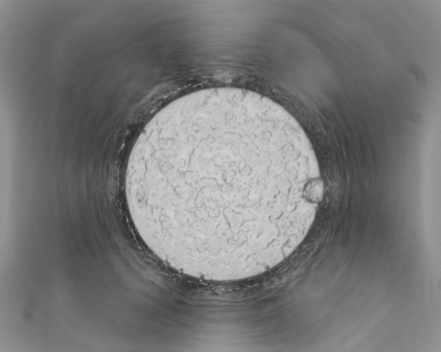 X0000110700656200907241126