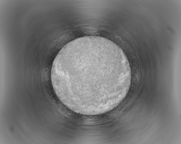 X0000110700658200907241126