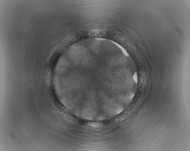 X0000110700659200907241126