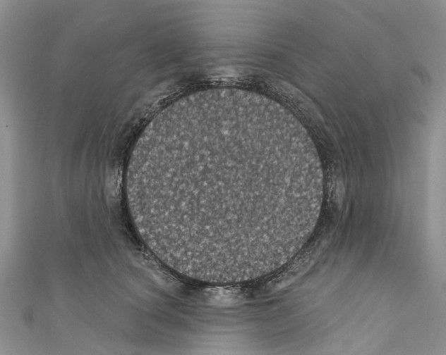 X0000110700660200907241126