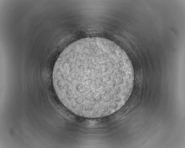 X0000110700662200907241126