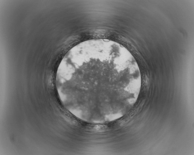 X0000110700663200907241126