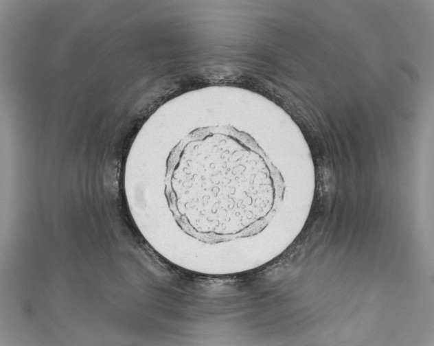 X0000110700664200907241126