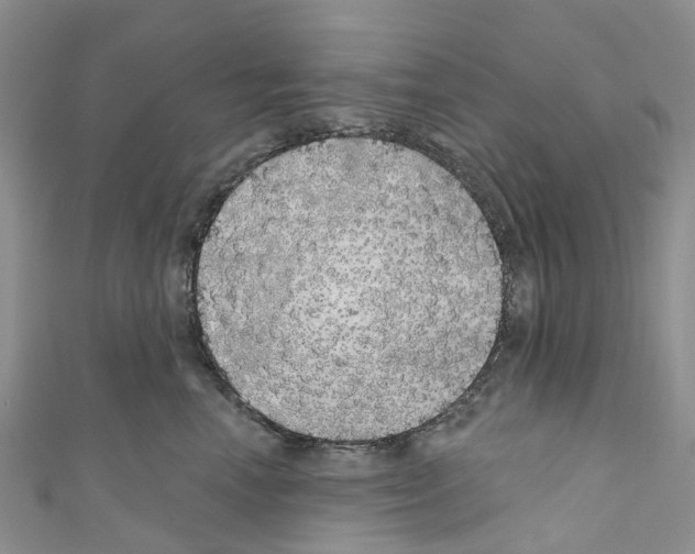 X0000110700666200907241126