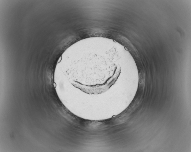 X0000110700669200907241126