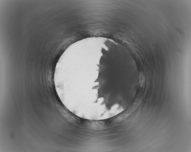 X0000110700670200907241126