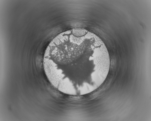 X0000110700671200907241126