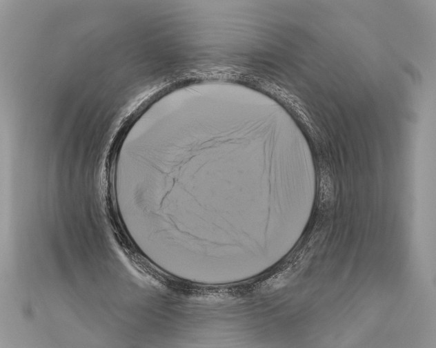 X0000110700674200907241125