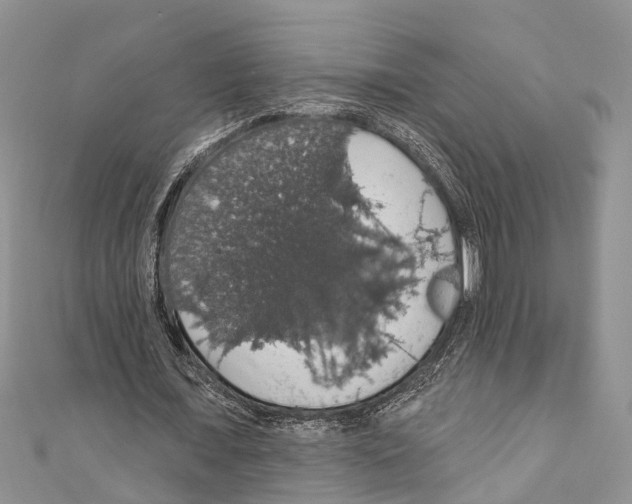 X0000110700675200907241125