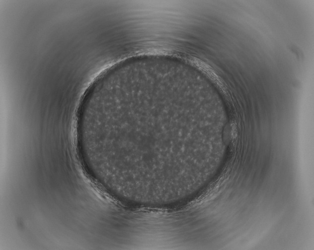 X0000110700676200907241125
