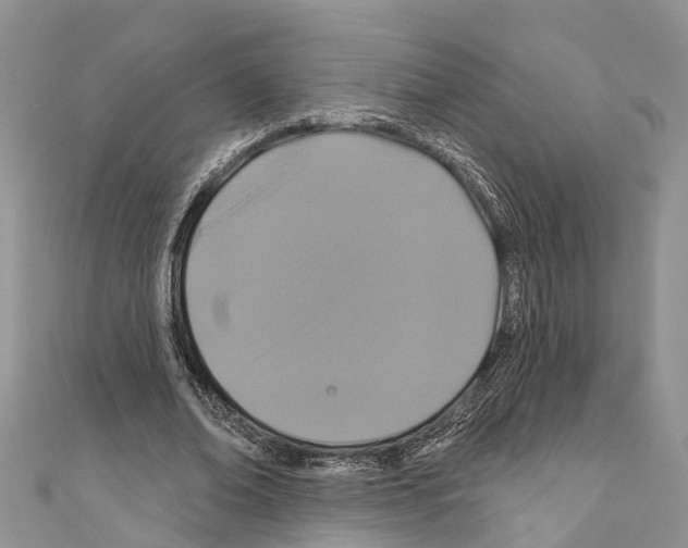 X0000110700678200907241125