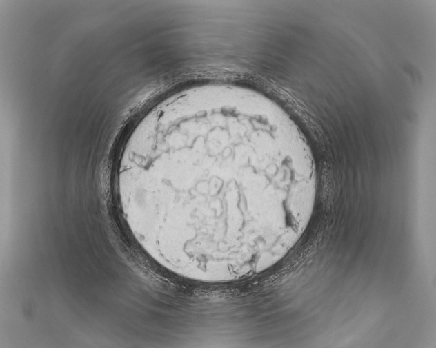 X0000110700679200907241125
