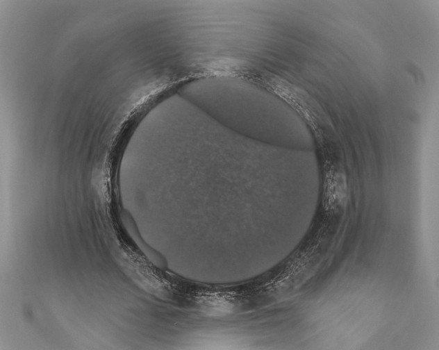 X0000110700680200907241125