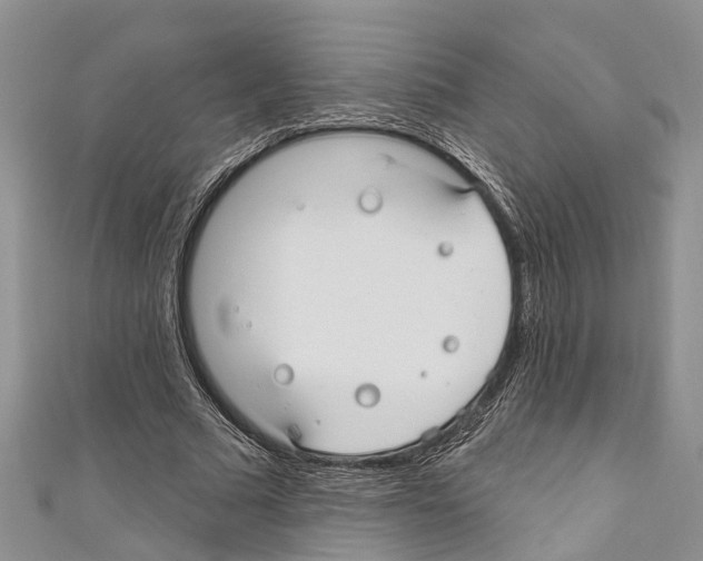 X0000110700681200907241125