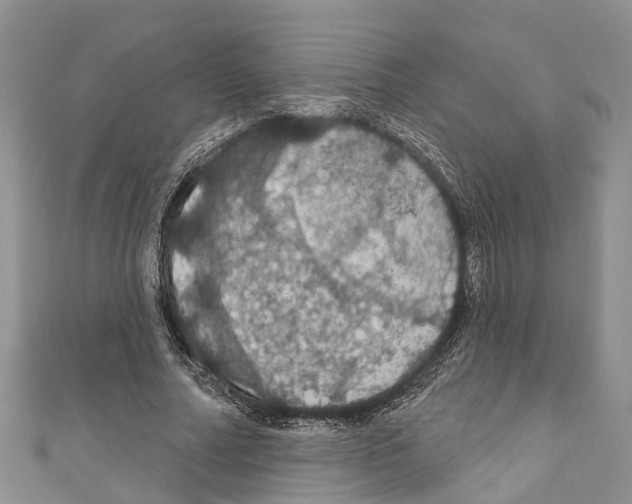 X0000110700682200907241125