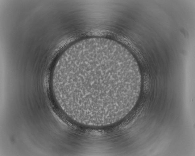 X0000110700683200907241125