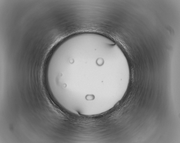 X0000110700684200907241125