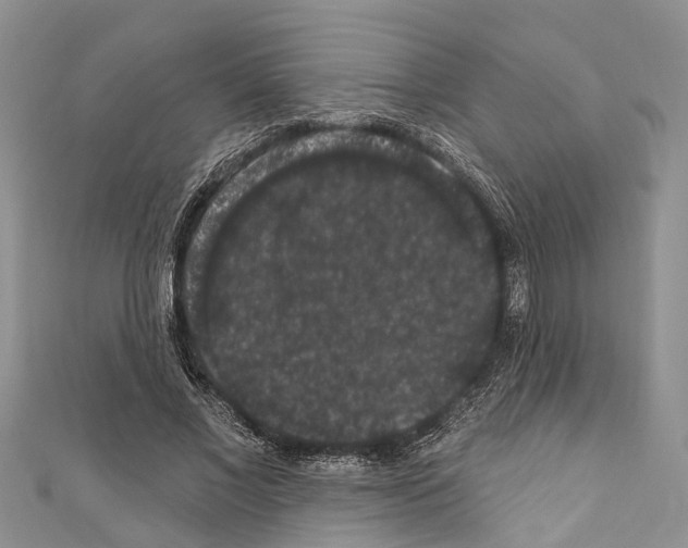 X0000110700685200907241125