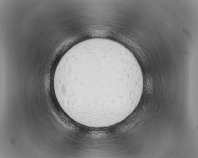 X0000110700686200907241125