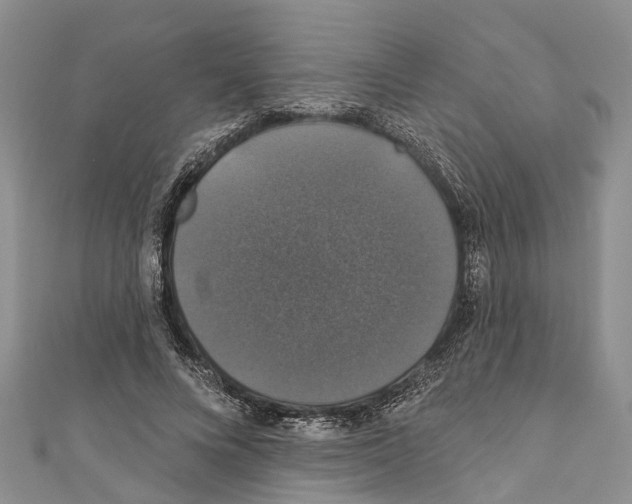 X0000110700688200907241125