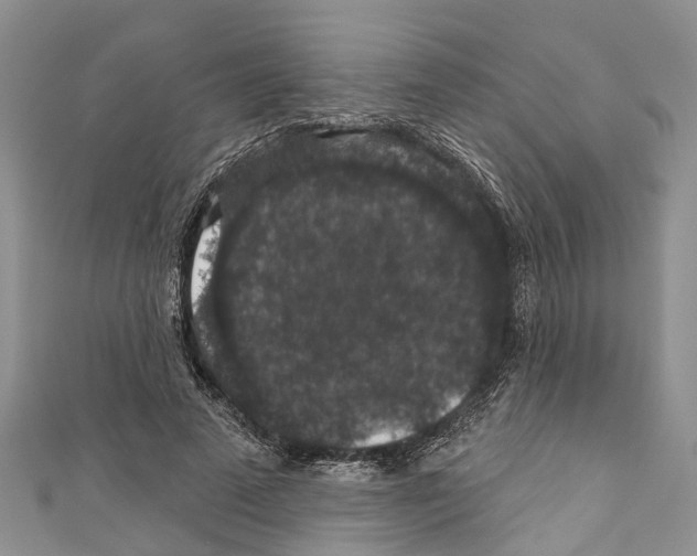 X0000110700689200907241125