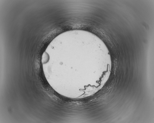X0000110700691200907241125