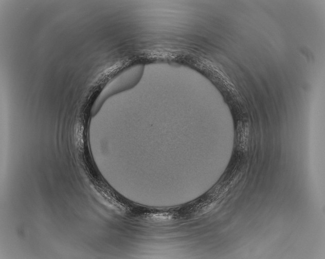 X0000110700692200907241125