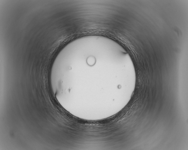 X0000110700693200907241125