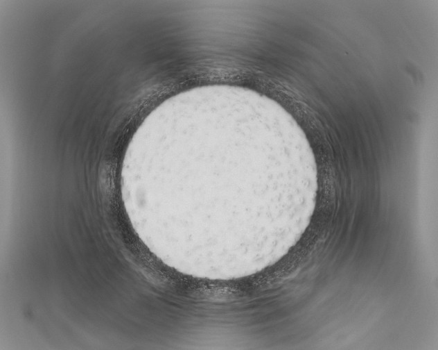 X0000110700695200907241125