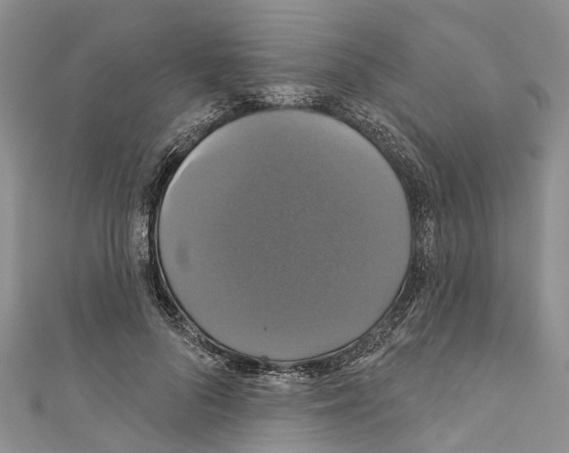 X0000110700696200907241125