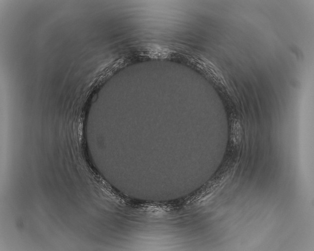 X0000110700697200907241125