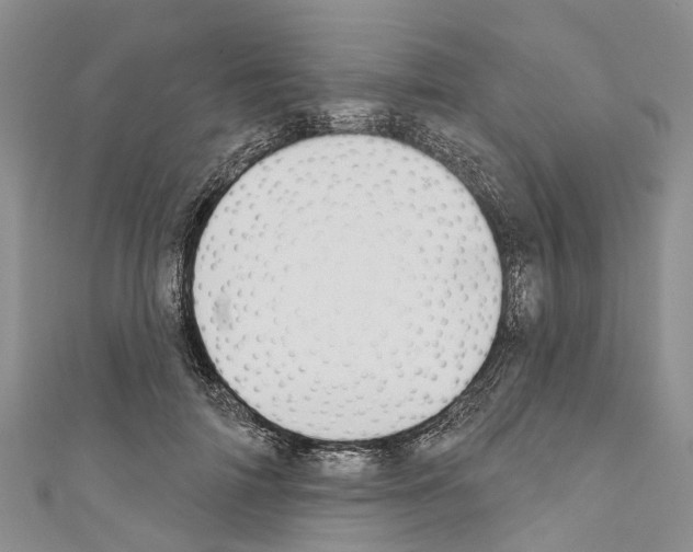 X0000110700698200907241125