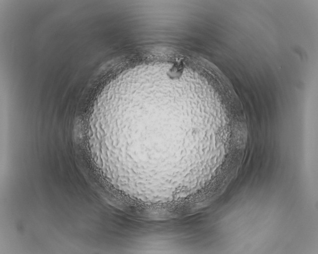 X0000110700701200907241125