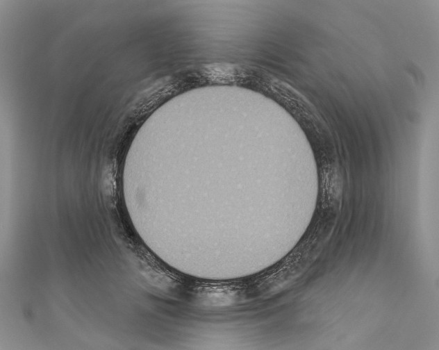 X0000110700702200907241125