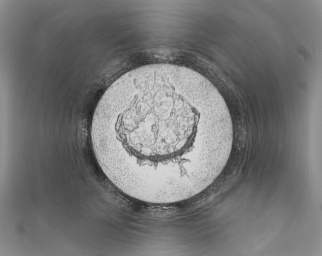 X0000110700707200907241125