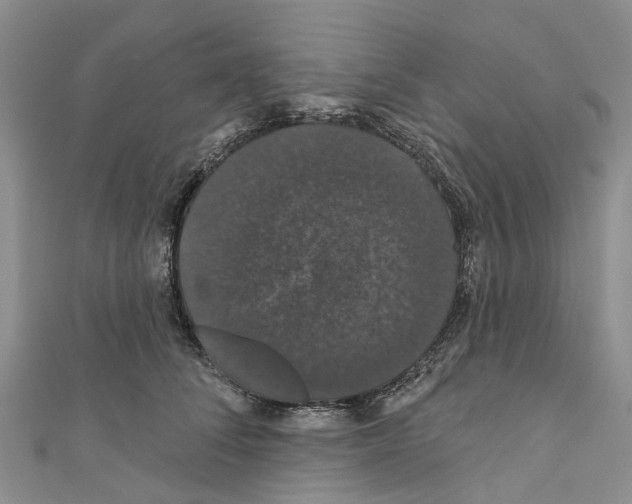 X0000110700708200907241125