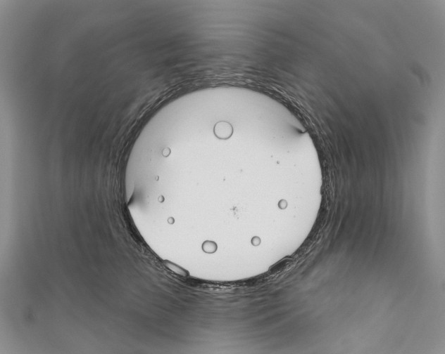 X0000110700709200907241125